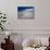 King Penguins At Volunteer Point On The Falkland Islands-Neale Cousland-Photographic Print displayed on a wall