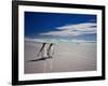 King Penguins At Volunteer Point On The Falkland Islands-Neale Cousland-Framed Photographic Print