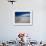 King Penguins At Volunteer Point On The Falkland Islands-Neale Cousland-Framed Photographic Print displayed on a wall