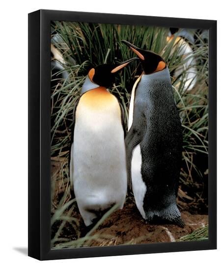 Poster, , large