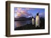 King Penguins Gathering at Saint Andrews Bay-Paul Souders-Framed Photographic Print