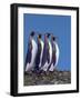 King Penguins in a Mating Ritual March, South Georgia Island-Charles Sleicher-Framed Photographic Print