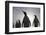 King Penguins on South Georgia Island-null-Framed Photographic Print