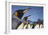 King Penguins on South Georgia Island-Paul Souders-Framed Photographic Print