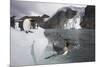 King Penguins on South Georgia Island-Paul Souders-Mounted Photographic Print