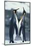 King Penguins Standing Face to Face-DLILLC-Mounted Photographic Print