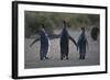 King Penguins Walking Together-DLILLC-Framed Photographic Print