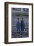 King Penguins Walking Together-DLILLC-Framed Photographic Print