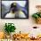 King Penguins-DLILLC-Framed Photographic Print displayed on a wall