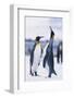 King Penguins-DLILLC-Framed Photographic Print