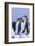 King Penguins-DLILLC-Framed Photographic Print