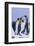 King Penguins-DLILLC-Framed Photographic Print