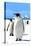 King Penguins-Lantern Press-Stretched Canvas