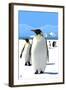 King Penguins-Lantern Press-Framed Art Print