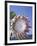 King Protea with Blue Sky, Maui, Hawaii, USA-Darrell Gulin-Framed Photographic Print