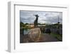 King Puck, Killorglin, County Kerry, Munster, Republic of Ireland, Europe-Carsten Krieger-Framed Photographic Print