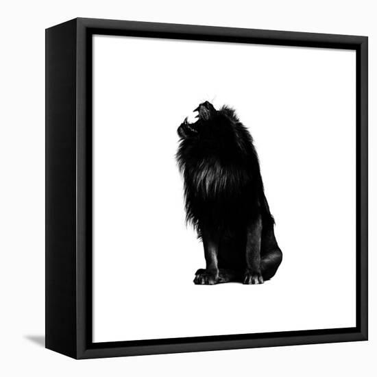 King Push-Alex Cherry-Framed Stretched Canvas