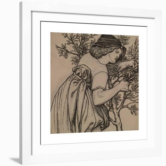 King Rene's Honeymoon - Gardening - Design for a painted Panel for the Cabinet-Dante Gabriel Rossetti-Framed Premium Giclee Print