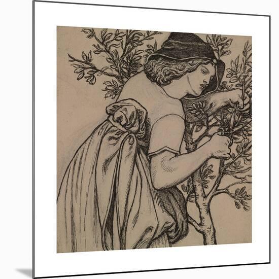 King Rene's Honeymoon - Gardening - Design for a painted Panel for the Cabinet-Dante Gabriel Rossetti-Mounted Premium Giclee Print