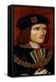 King Richard III-null-Framed Stretched Canvas