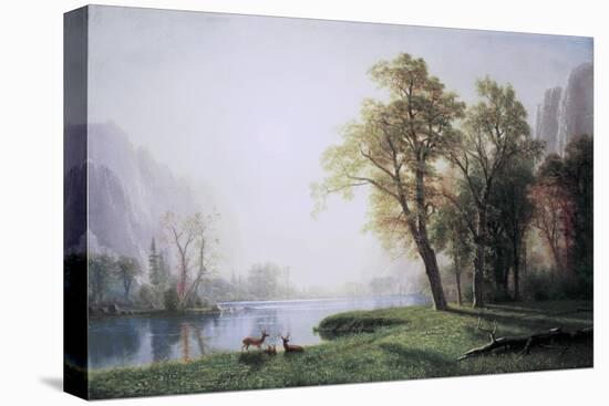 King River Canyon, California-Albert Bierstadt-Stretched Canvas