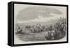 King's Lynn Regatta, Shovel-Race of Corn Porters-null-Framed Stretched Canvas