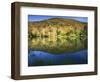 King's Pond, Green Mountain National Forest, Vermont, USA-Charles Gurche-Framed Photographic Print