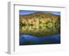 King's Pond, Green Mountain National Forest, Vermont, USA-Charles Gurche-Framed Photographic Print