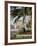 King's Royal Palace Viewed through Palm Tree, Fes, Morocco-Merrill Images-Framed Photographic Print