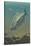 King Salmon Underwater-Lantern Press-Stretched Canvas