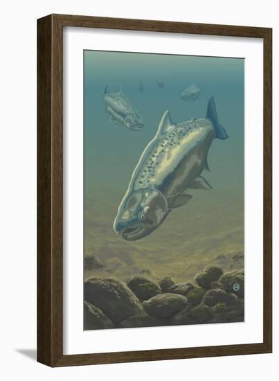 King Salmon Underwater-Lantern Press-Framed Art Print