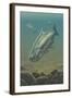 King Salmon Underwater-Lantern Press-Framed Art Print