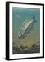 King Salmon Underwater-Lantern Press-Framed Art Print