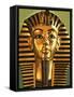 King Tutankhamen-null-Framed Stretched Canvas