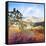 King Valley-Craig Trewin Penny-Framed Stretched Canvas