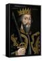 King William I-null-Framed Stretched Canvas