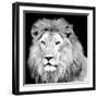 King-Kimberly Allen-Framed Art Print