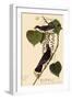 Kingbirds-John James Audubon-Framed Giclee Print