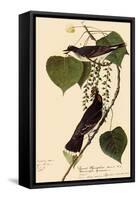 Kingbirds-John James Audubon-Framed Stretched Canvas