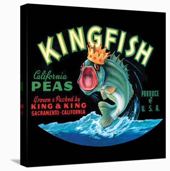 Kingfish-Vision Studio-Stretched Canvas