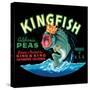 Kingfish-Vision Studio-Stretched Canvas