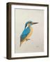 Kingfisher, 2013,-Ele Grafton-Framed Giclee Print