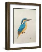 Kingfisher, 2013,-Ele Grafton-Framed Giclee Print