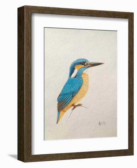 Kingfisher, 2013,-Ele Grafton-Framed Giclee Print