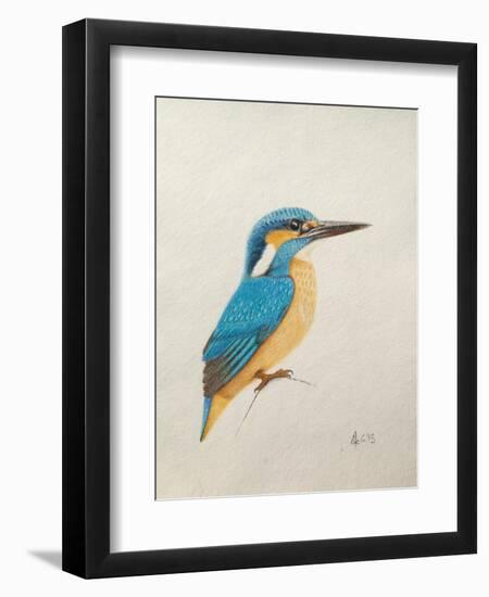 Kingfisher, 2013,-Ele Grafton-Framed Giclee Print