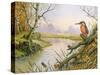 Kingfisher: Autumn River Scene-Carl Donner-Stretched Canvas