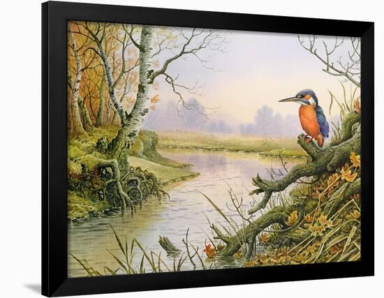 Kingfisher: Autumn River Scene-Carl Donner-Framed Premium Giclee Print