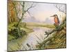 Kingfisher: Autumn River Scene-Carl Donner-Mounted Giclee Print