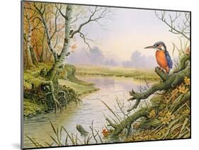 Kingfisher: Autumn River Scene-Carl Donner-Mounted Giclee Print