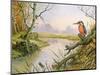 Kingfisher: Autumn River Scene-Carl Donner-Mounted Giclee Print